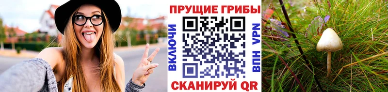 Купить закладки  Спас-Клепики  Галлюциногенные грибы мухоморы 