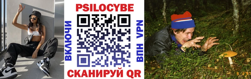 Псилоцибиновые грибы Psilocybe Спас-Клепики